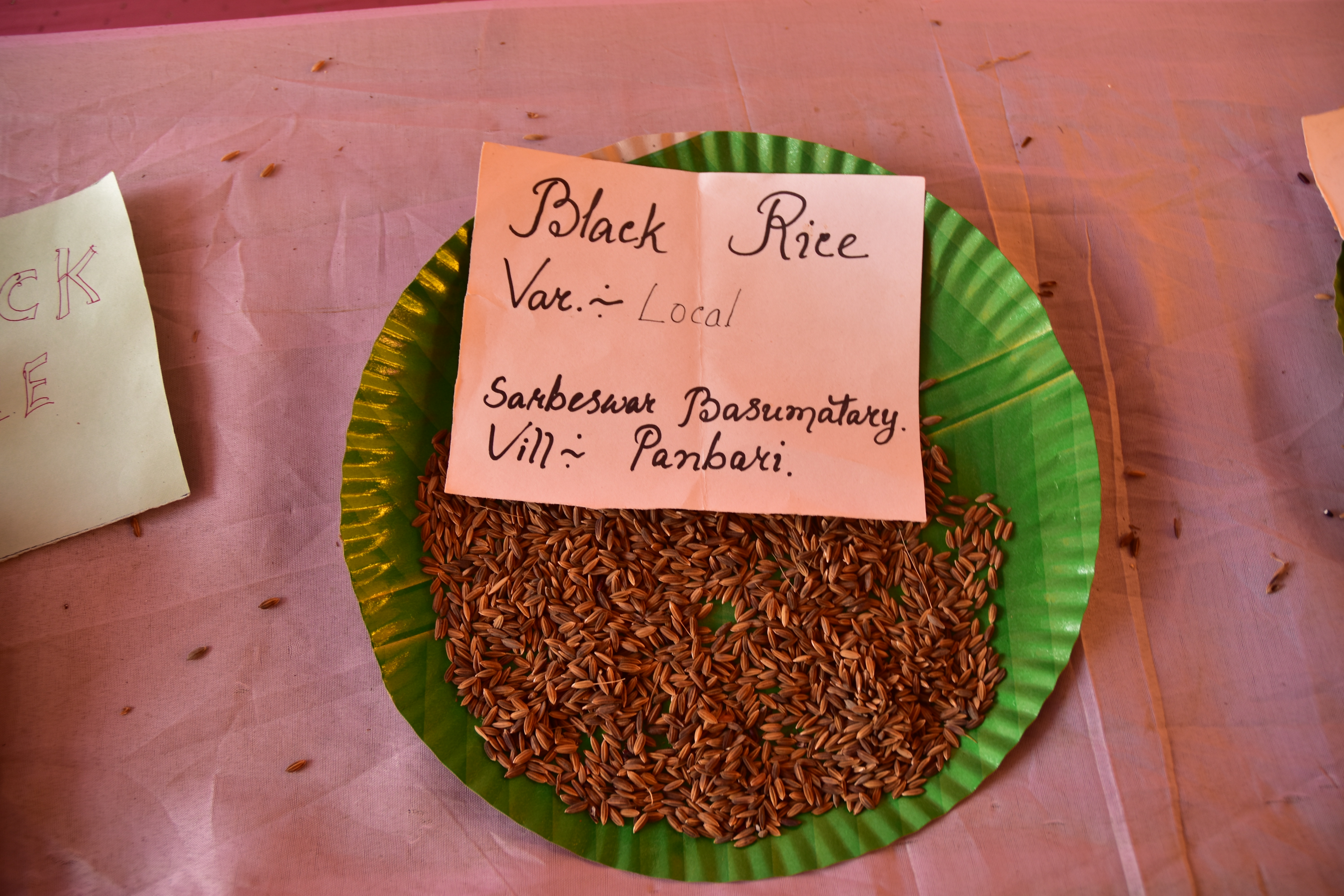 community knowledge, rice varieties, display