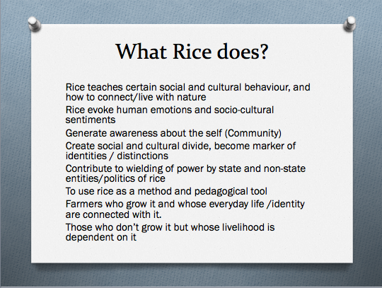 Rice as critical pedagogy