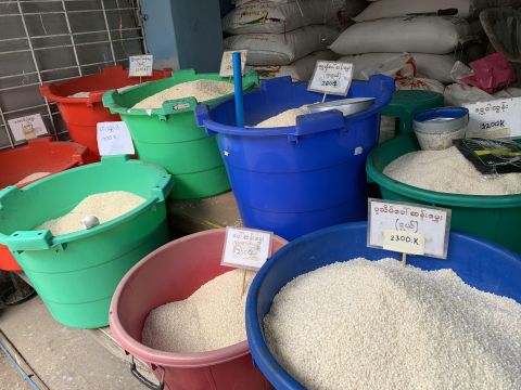 Rice Varieties in Myanmar