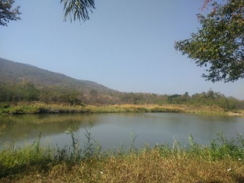 By the quiet lakeside at Kireethara Resort, Chiang Mai