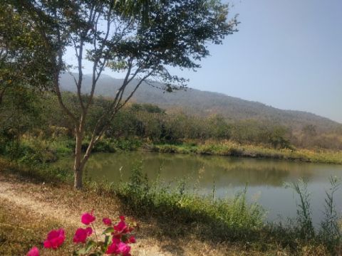 By the quiet lakeside at Kireethara Resort, Chiang Mai