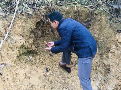 Edible Earth from a Mountain