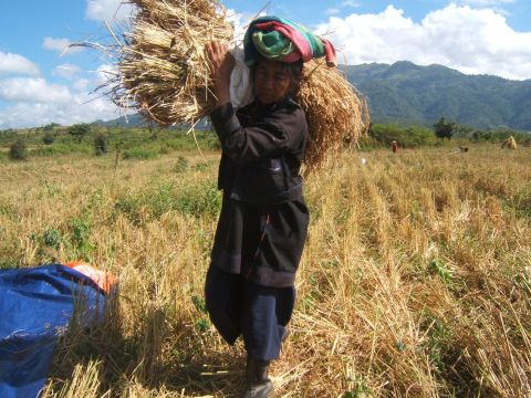  our Country, Myanmar. But Pa Oh Ethnic is the third biggest ethnicity of Shan State by living (9.49 %) in Southern Shan State Region