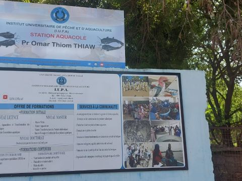 The UCAD centre of aquaculture, which was adjacent to the restaurant