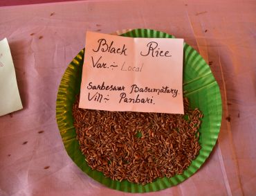 Rice Varieties