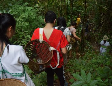 Learning While Walking in the Forest: Where the Village Practices Shifting Cultivation