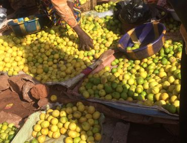 A Lemon for €1